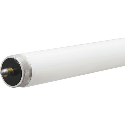 236869 Philips T8 Single Pin Fluorescent Tube Light Bulb