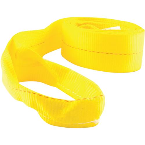 59704 Erickson Tow Strap with Loops