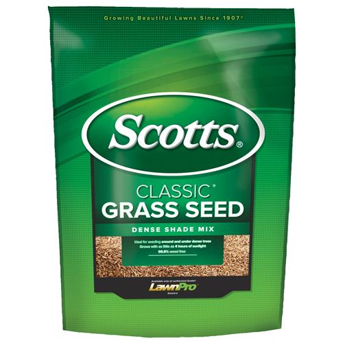 17290 Scotts Classic Dense Shade Grass Seed