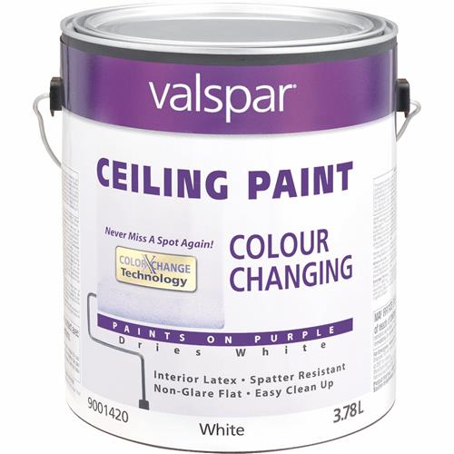 027.0001420.007 Valspar Color Changing Latex Flat Ceiling Paint