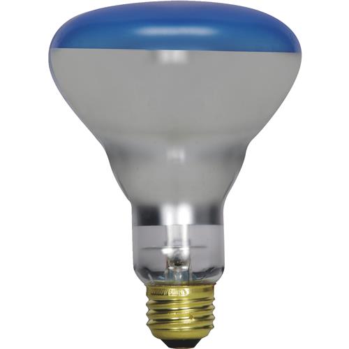 S2852 Satco R30 Incandescent Plant Light Bulb
