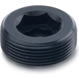 Picture of a threaded plug.