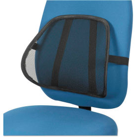 Picture of a back support chair attachment.