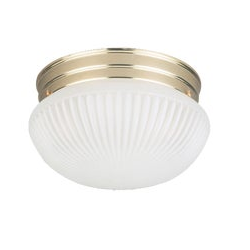 Image of a ceiling light fixture.