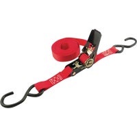 Picture of a ratchet strap.
