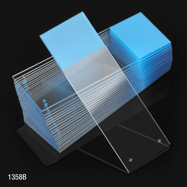 Globe Scientific Microscope Slides, Diamond White Glass, 25 x 75mm, Charged, 90? Ground Edges, Blue Frosted, 72/Box, 20 Boxes/Case (10 Gross) Image