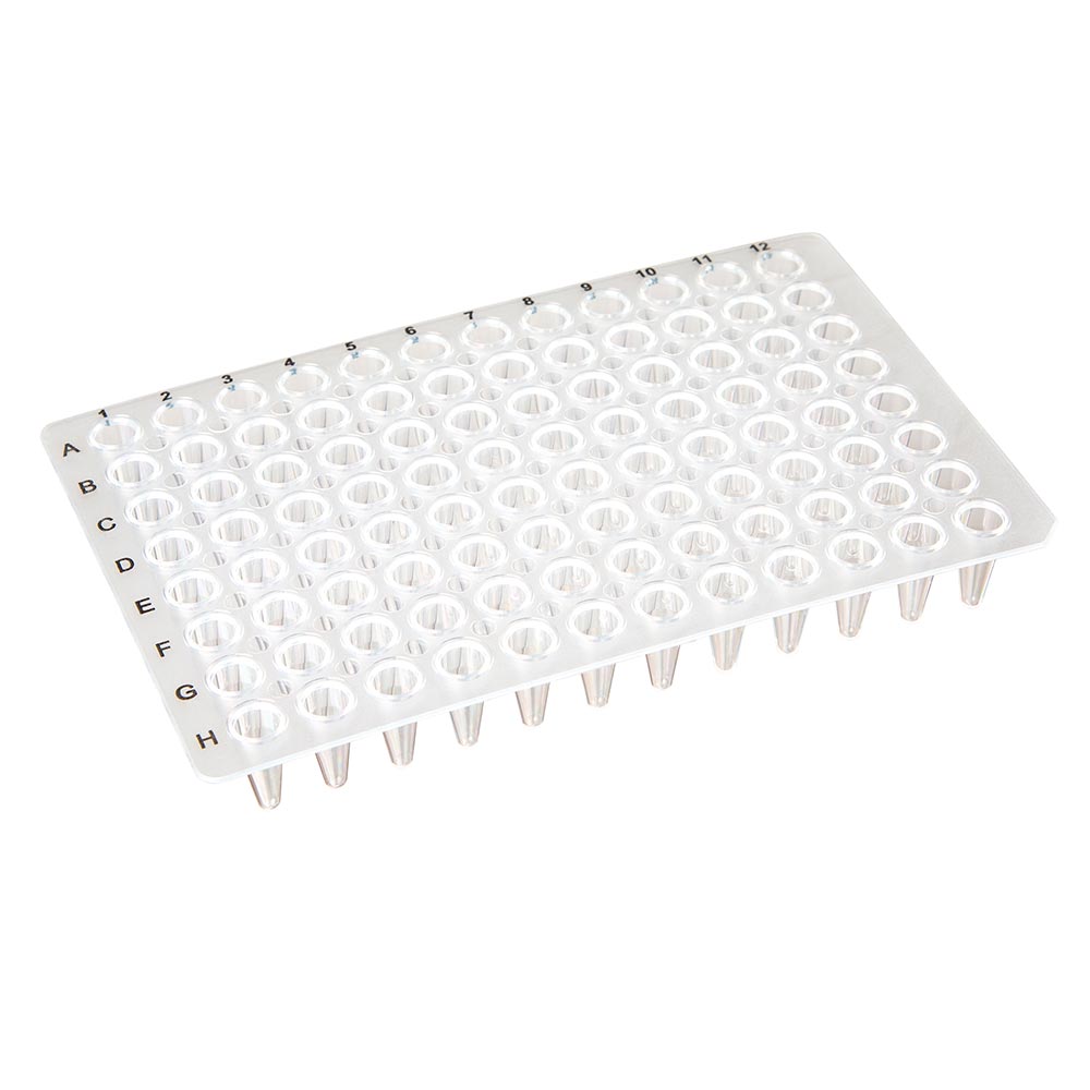 Globe Scientific 0.1mL 96-Well PCR Plate, Low-Profile, No Skirt, Clear Image