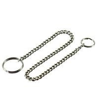 Image of a keychain.