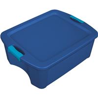 Picture of a blue storage tote.