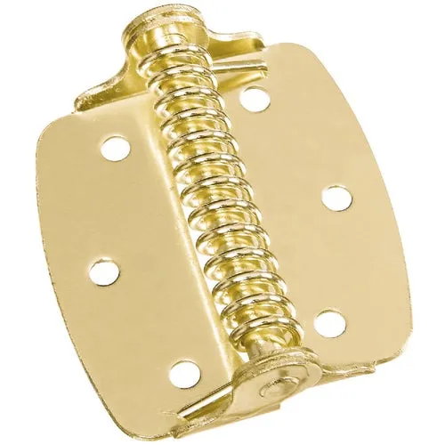 N240481 National Spring Hinge