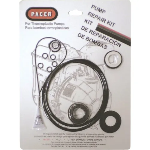 P-58-0074 Pacer Pumps Seal Kit
