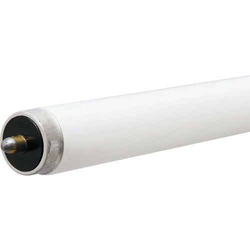 236869 Philips T8 Single Pin Fluorescent Tube Light Bulb