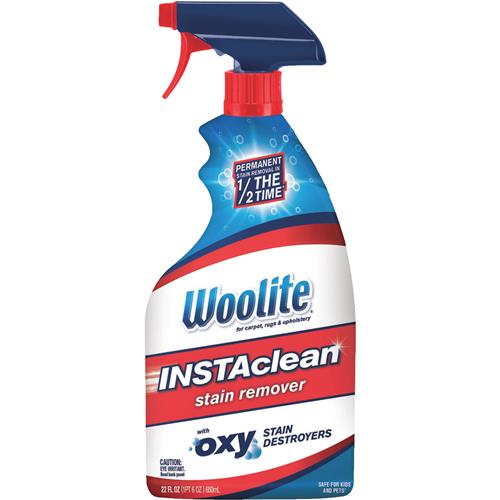 1742 Woolite InstaClean Carpet Cleaner