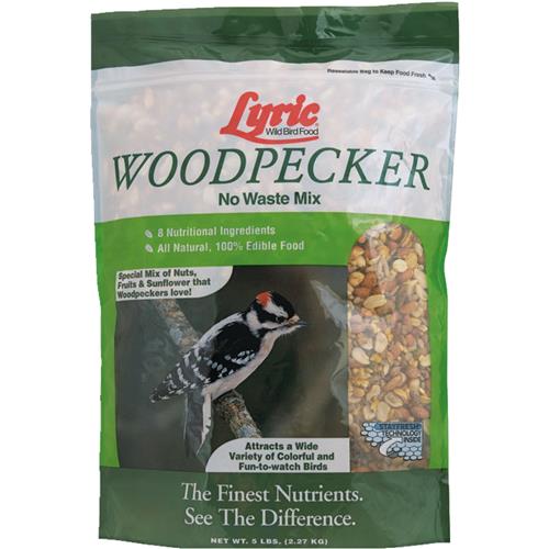 2647405 Lyric Woodpecker Wild Bird Seed bird seed