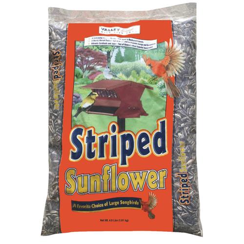 13594 Morning Song Striped Sunflower Seed