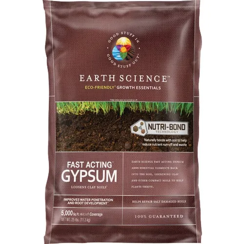 11882-80 Earth Science Fast Acting Gypsum