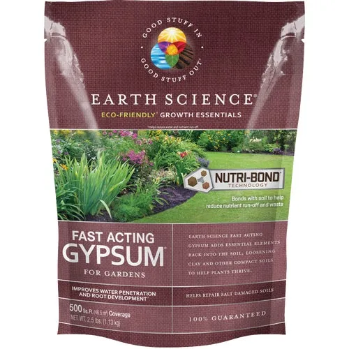 12132-6 Earth Science Fast Acting Gypsum