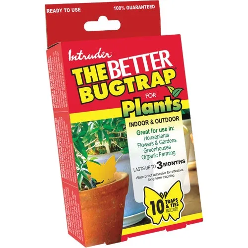 21085 Intruder The Better Bugtrap For Plants