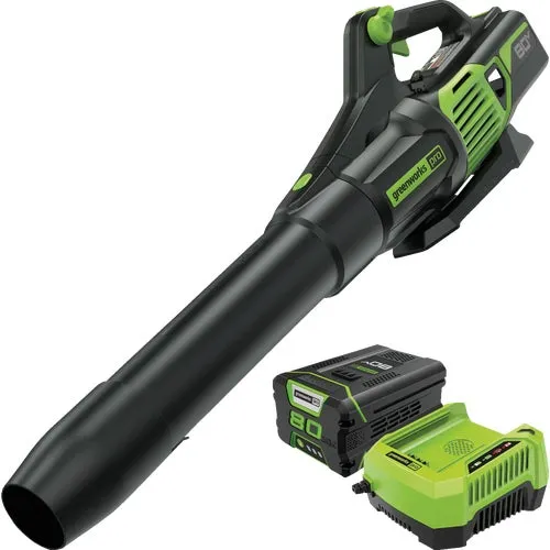 2424402 Greenworks Cordless Blower w/Rapid Charger