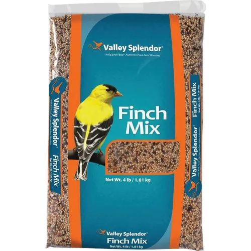 336 Valley Splendor Finch Wild Bird Seed