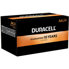 AA Batteries