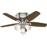 Picture of a ceiling fan with lights below.