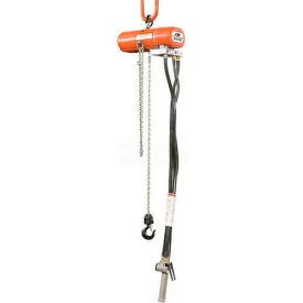 ShopAir Chain Hoist Picture.