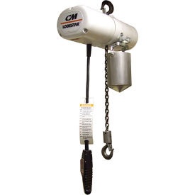 Picture of an electric chain hoist.