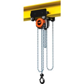 Combination hoist and trolley image.