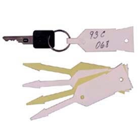 Image of plastic key tags.