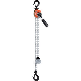 Picture of a mini lever hoist.