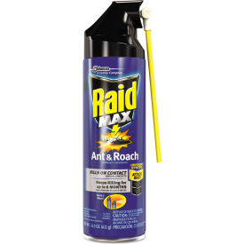 Picture of a spray can of Raid brand insect killer.