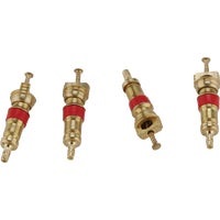 Image of tire valve cores.